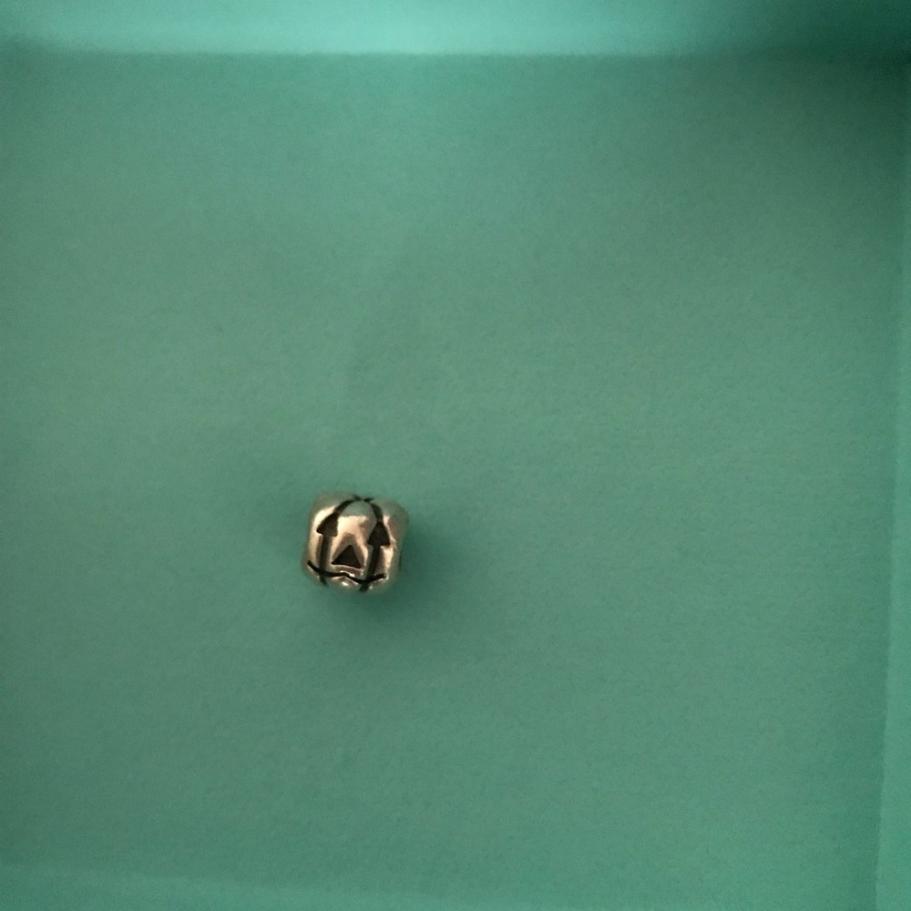 Pumpkin pandora charm